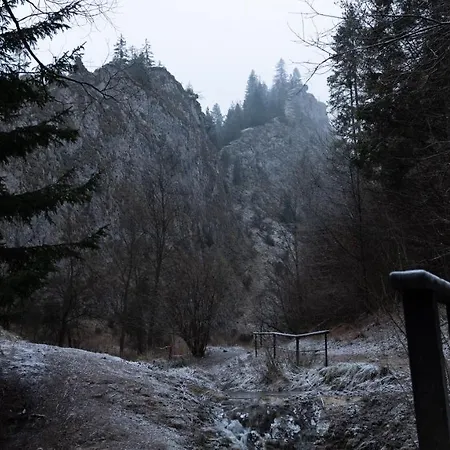 Sielanka Apartmán Jaworki